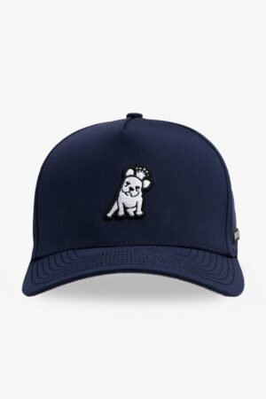 James Bark Dress Blue Recycled Cap